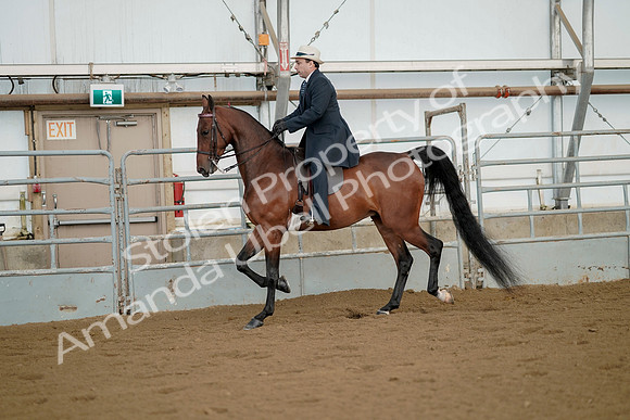 July 21, 2019 - 01561
