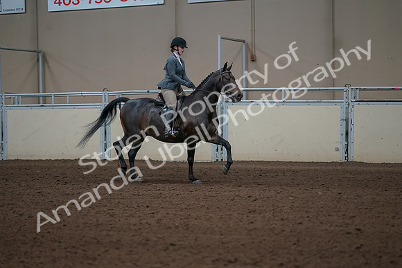2019 Morgan Horse Show - Sept 01, 2019 - 11051