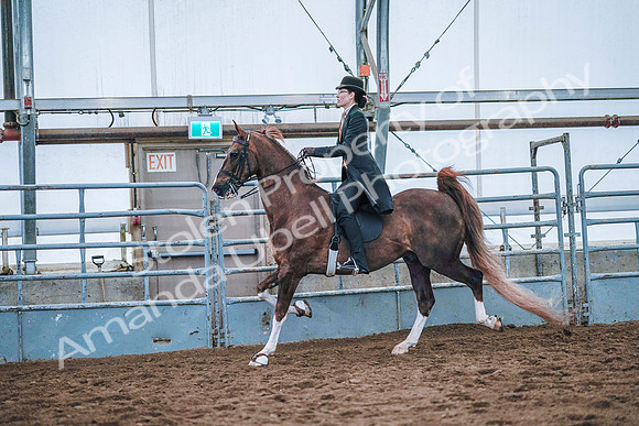 July 20, 2019 - 23842