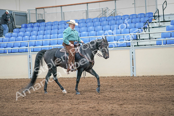 2020 - AB Morgan Horse - Sun, Sept 06 - 01635
