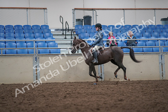 2019 Morgan Horse Show - Aug 31, 2019 - 16674