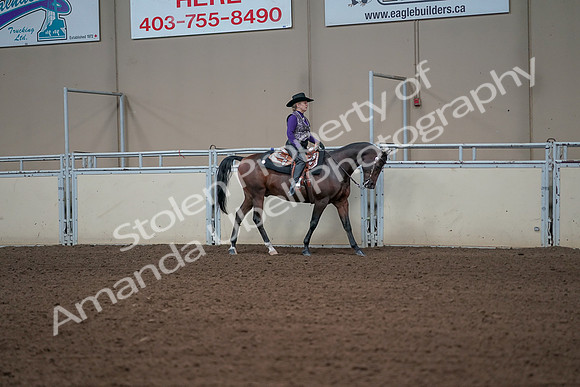 2019 Morgan Horse Show - Aug 31, 2019 - 10735