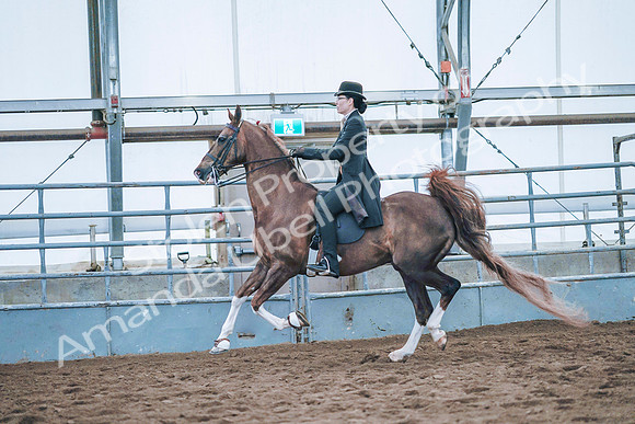 July 20, 2019 - 24052