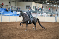 2020 - AB Morgan Horse - Sun, Sept 06 - 08298