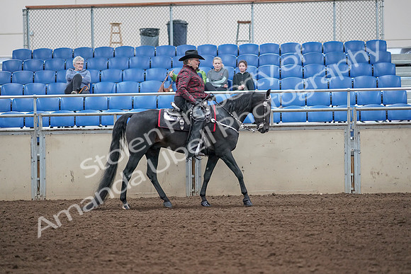 2019 Morgan Horse Show - Aug 31, 2019 - 10765