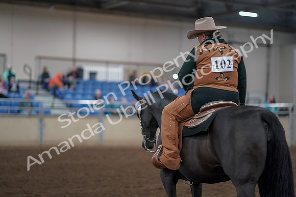 2019 Morgan Horse Show - Aug 31, 2019 - 06249