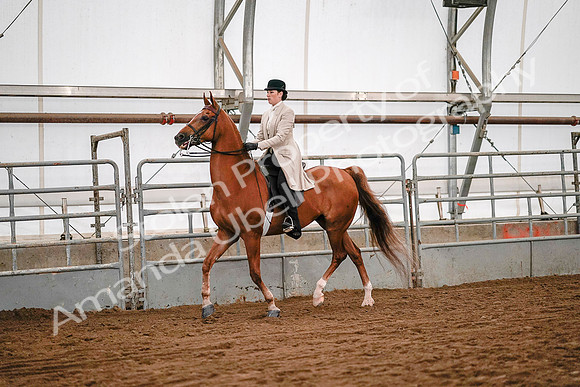 July 19, 2019 - 9007