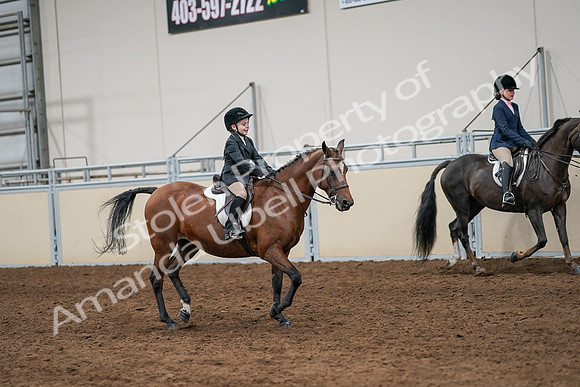 2020 - AB Morgan Horse - Sun, Sept 06 - 07998