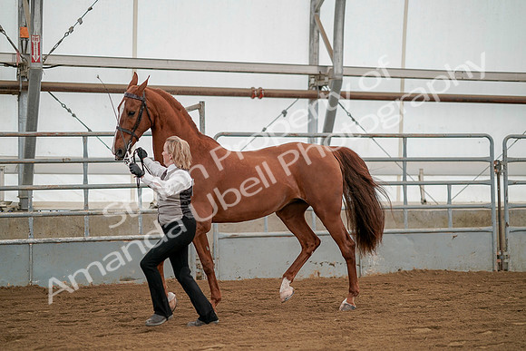July 19, 2019 - 1349