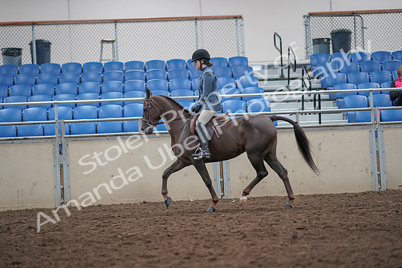 2019 Morgan Horse Show - Aug 31, 2019 - 16626