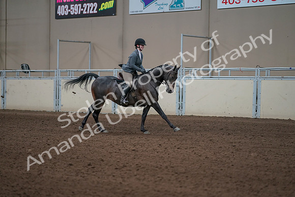2019 Morgan Horse Show - Sept 01, 2019 - 11104