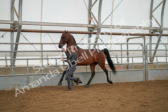 July 19, 2019 - 1243