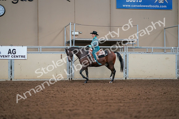 2019 Morgan Horse Show - Aug 30, 2019 - 16807