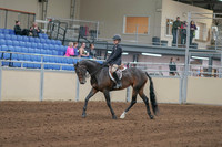 Class 125 - All Breed Walk-Trot Hunt Seat Eq 11 & Under