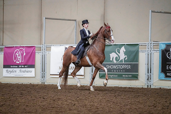 Spring Fling - Saturday - April 20, 2019  -  04222