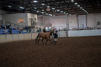 2019 Morgan Horse Show - Aug 31, 2019 - 01491