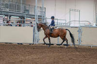 2020 - AB Morgan Horse - Sat, Sept 05 - 01737