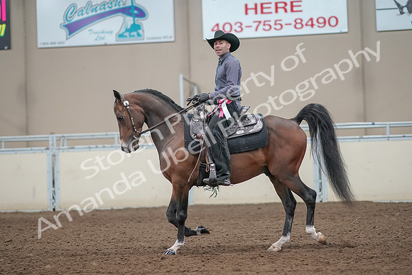 2019 Morgan Horse Show - Aug 31, 2019 - 06296