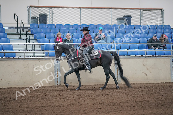 2019 Morgan Horse Show - Aug 31, 2019 - 10643