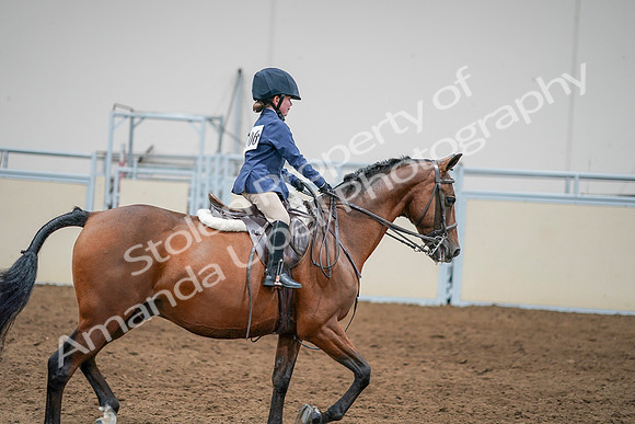 2020 - AB Morgan Horse - Sun, Sept 06 - 08100