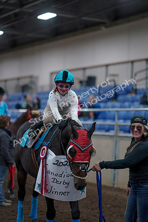 2019 Morgan Horse Show - Aug 31, 2019 - 10168