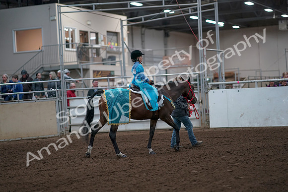 2019 Morgan Horse Show - Aug 31, 2019 - 10039