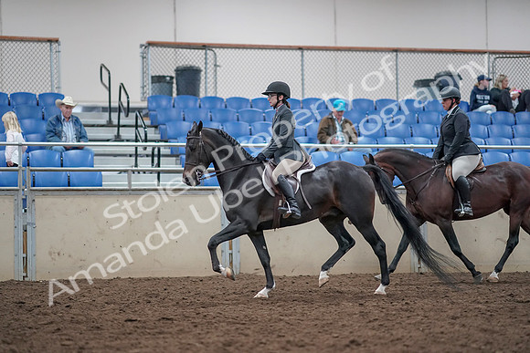 2019 Morgan Horse Show - Aug 31, 2019 - 14982