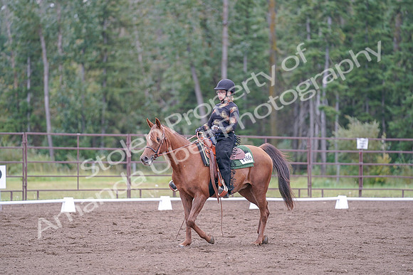 2019 Morgan Horse Show - Aug 30, 2019 - 00227