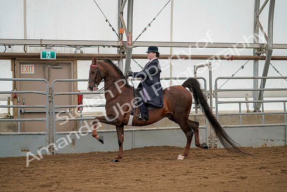 July 20, 2019 - 02239