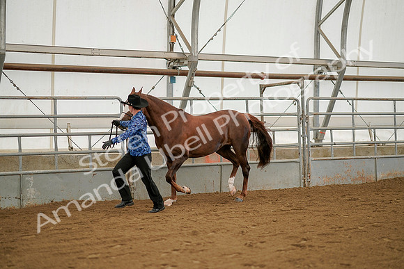 July 19, 2019 - 1260