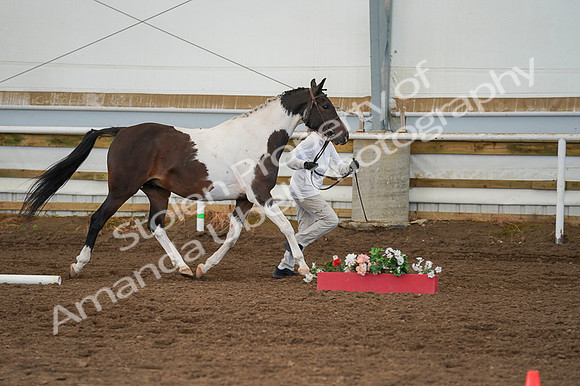 2020 - Region 17 - Wed, Sept 09 - 04536