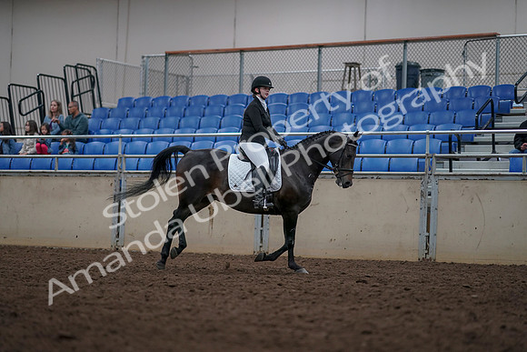 2019 Morgan Horse Show - Aug 31, 2019 - 16781