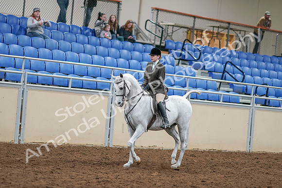 2020 - AB Morgan Horse - Sat, Sept 05 - 14430
