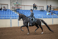 2020 - AB Morgan Horse - Fri, Sept 04 - 05324