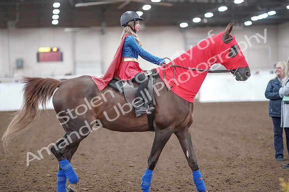 2019 Morgan Horse Show - Aug 31, 2019 - 10009