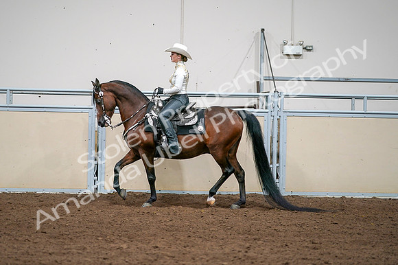 2020 - AB Morgan Horse - Fri, Sept 04 - 08372