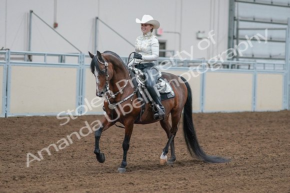 2020 - AB Morgan Horse - Sat, Sept 05 - 09018