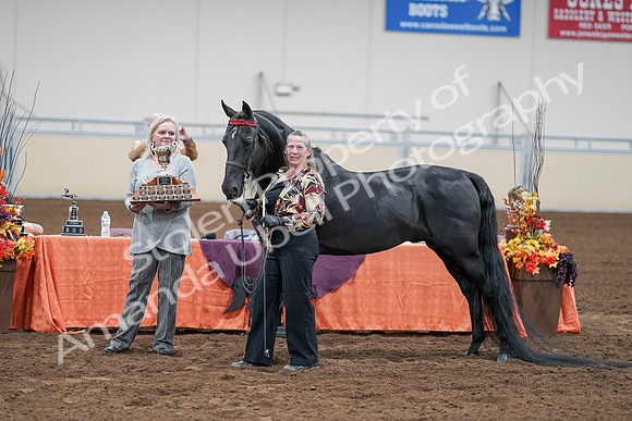 2020 - AB Morgan Horse - Sat, Sept 05 - 00125