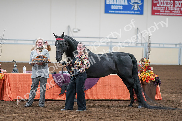 2020 - AB Morgan Horse - Sat, Sept 05 - 00116