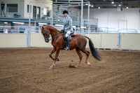2020 - AB Morgan Horse - Fri, Sept 04 - 01462