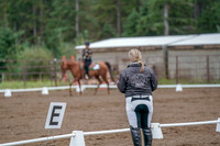 2019 Morgan Horse Show - Aug 30, 2019 - 00222