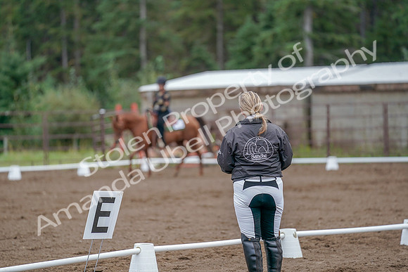 2019 Morgan Horse Show - Aug 30, 2019 - 00222