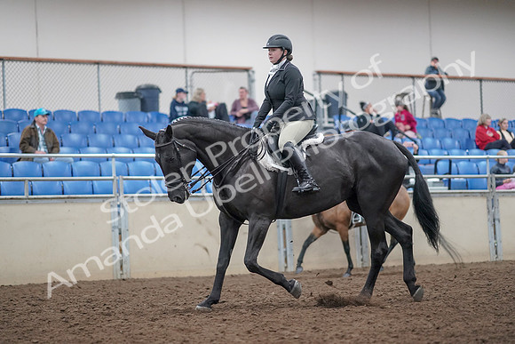 2019 Morgan Horse Show - Aug 31, 2019 - 14901