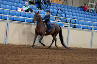 2020 - AB Morgan Horse - Fri, Sept 04 - 03627