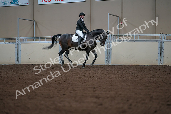 2019 Morgan Horse Show - Aug 30, 2019 - 18629