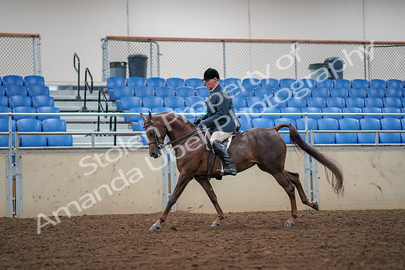 2019 Morgan Horse Show - Aug 30, 2019 - 17477