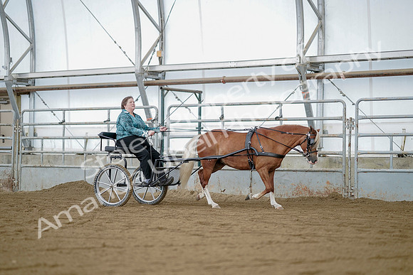July 21, 2019 - 05982