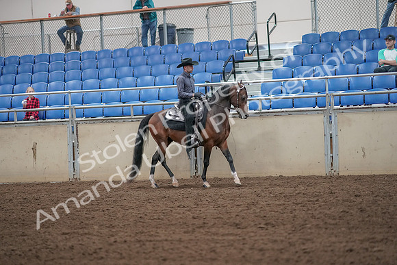 2019 Morgan Horse Show - Aug 31, 2019 - 06225