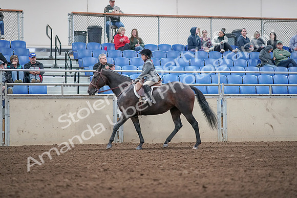 2019 Morgan Horse Show - Aug 31, 2019 - 19451