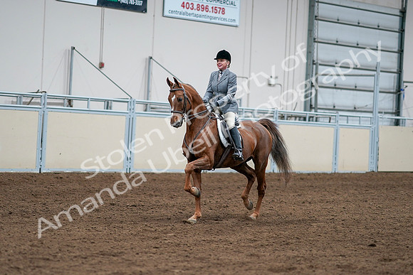 2020 - AB Morgan Horse - Sat, Sept 05 - 03258
